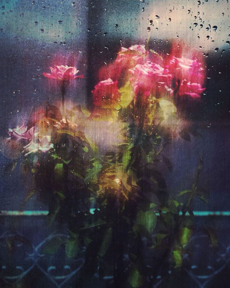 Muslimah, jangan tinggalkan duniamu sebelum berdakwah